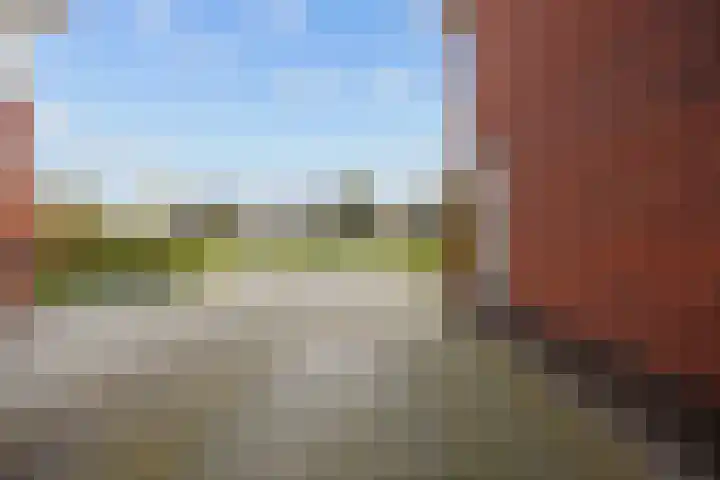 Bostulp 24 Leek thumbnail 9