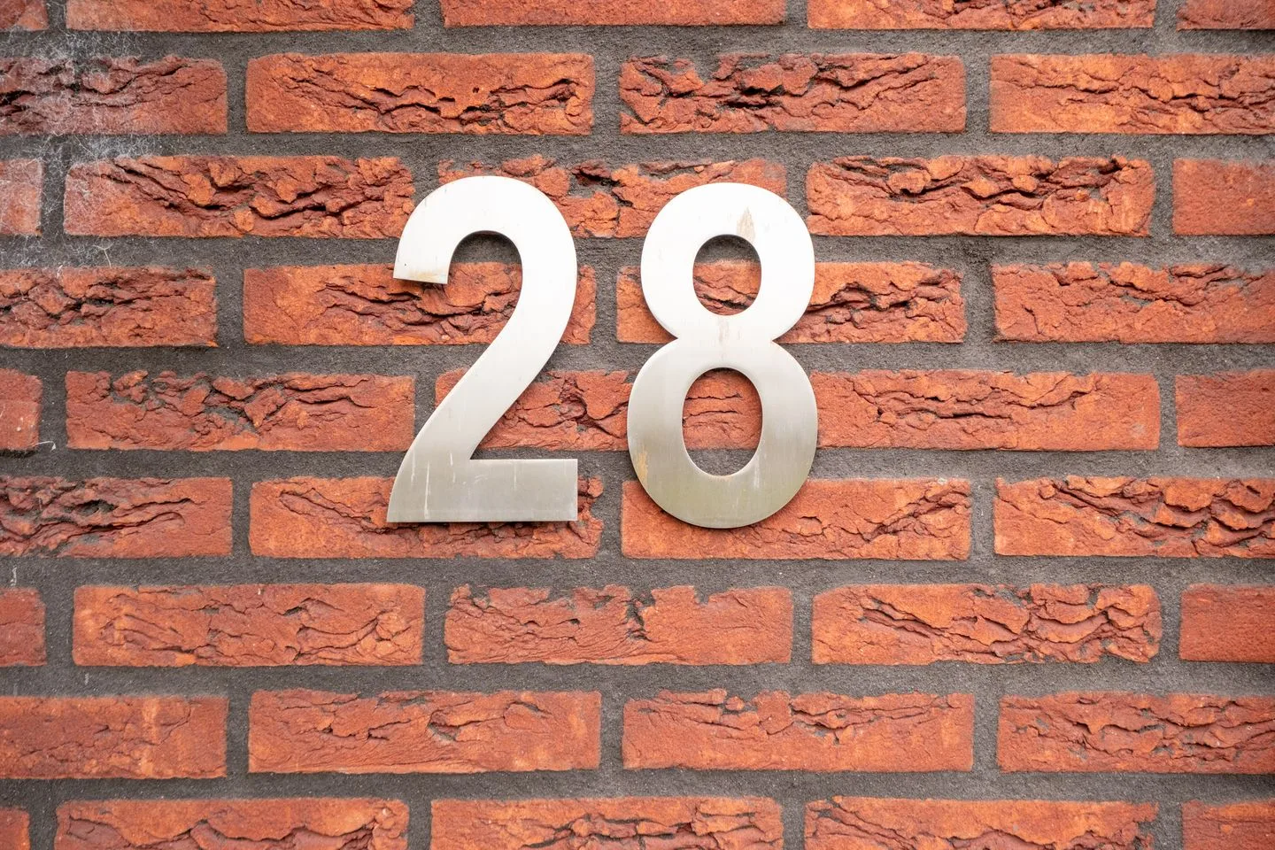 Bostulp 28 Leek thumbnail 5