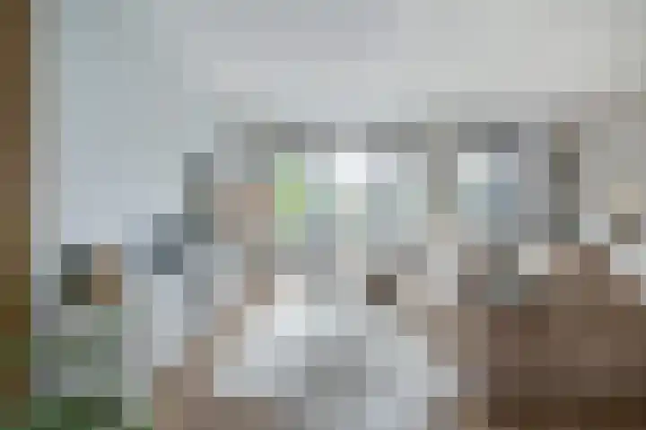 Bostulp 4 Assen thumbnail 10