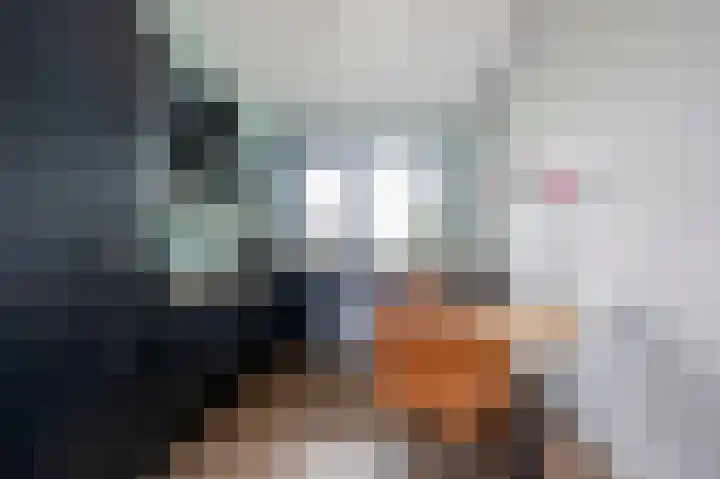 Bostulp 4 Assen thumbnail 12