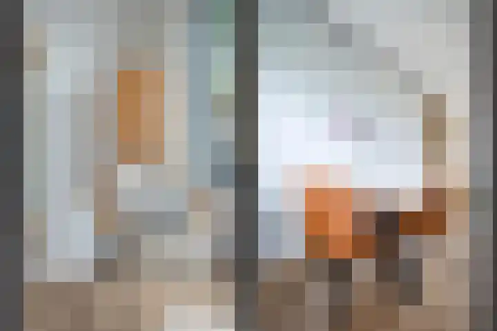 Bostulp 4 Assen thumbnail 14