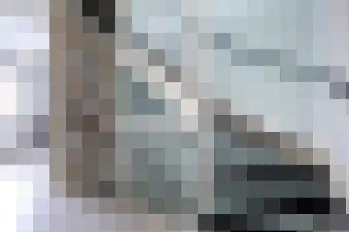 Bostulp 4 Assen thumbnail 23