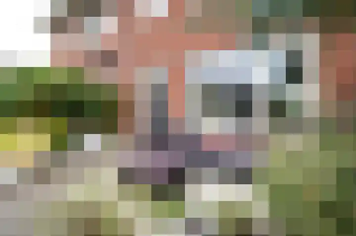 Bostulp 4 Assen thumbnail 26