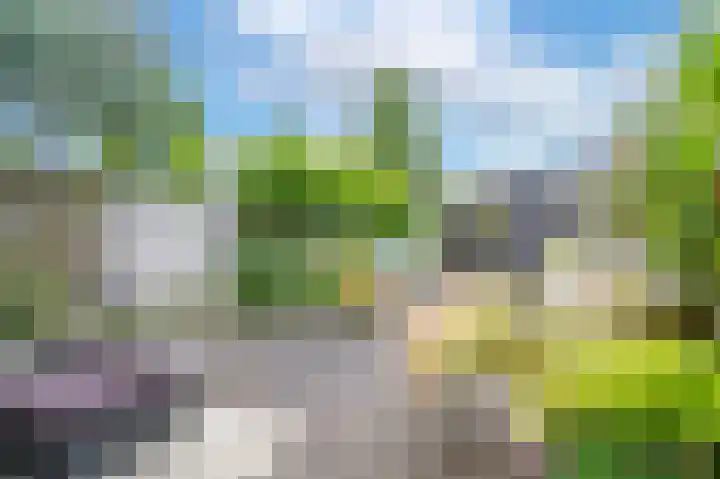 Bostulp 4 Assen thumbnail 27
