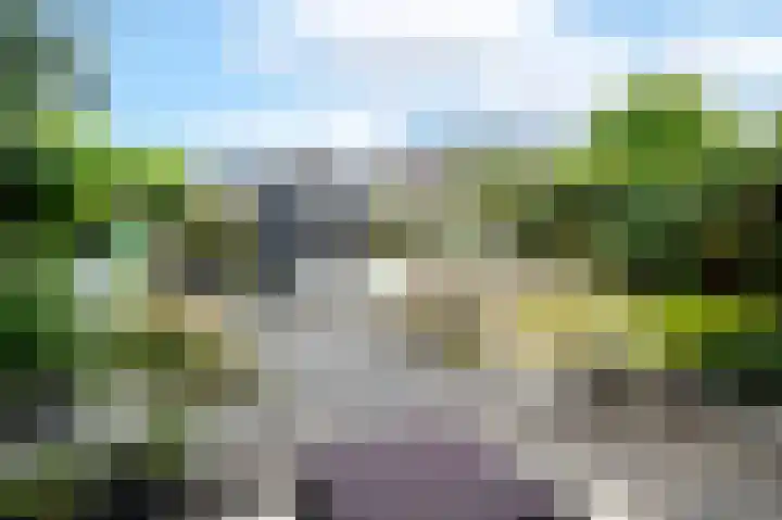 Bostulp 4 Assen thumbnail 28