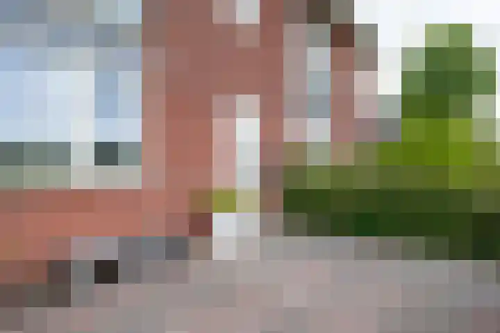 Bostulp 4 Assen thumbnail 5