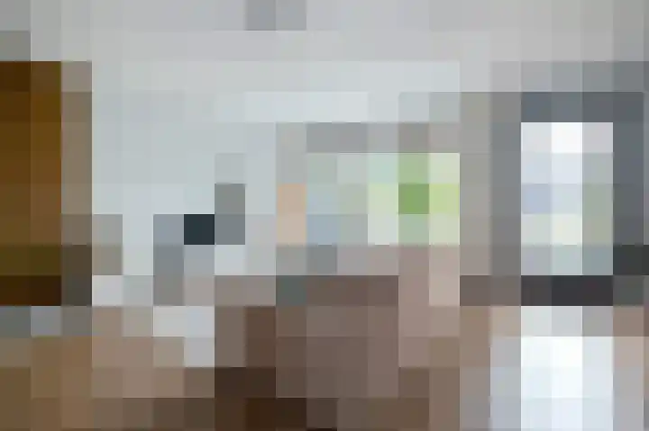 Bostulp 4 Assen thumbnail 8