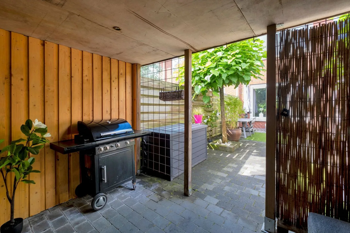 Bostulp 8 Assen thumbnail 31