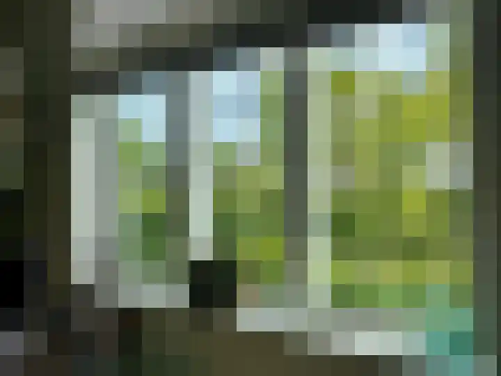 Bosuil 1 Dorst thumbnail 13