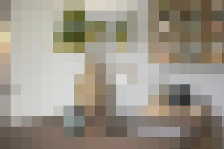 Bosuil 1 Dorst thumbnail 20