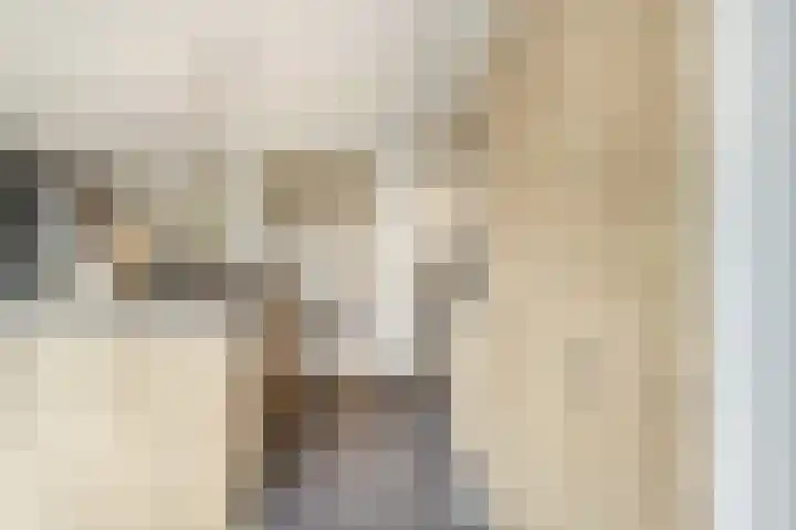 Bosuil 1 Dorst thumbnail 21