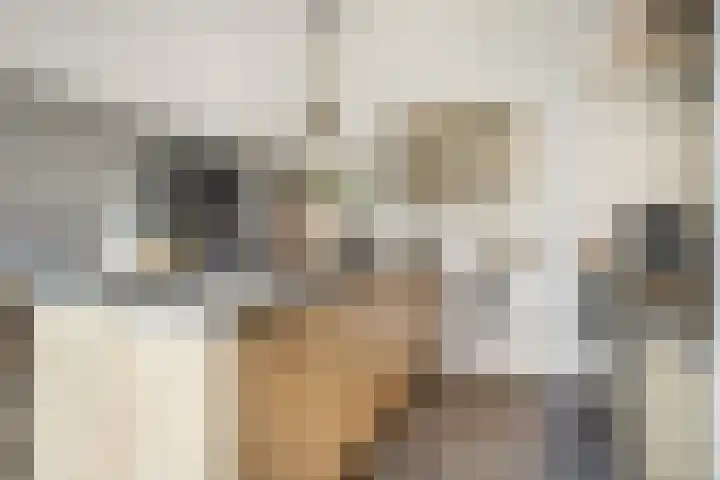 Bosuil 1 Dorst thumbnail 22