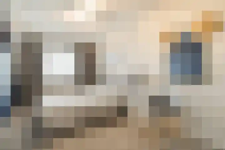 Bosuil 1 Dorst thumbnail 29