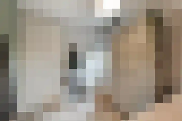 Bosuil 1 Dorst thumbnail 32