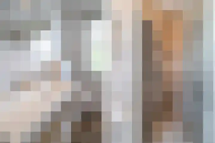 Bosuil 1 Dorst thumbnail 38