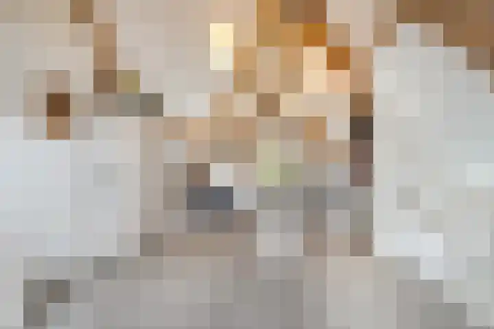 Bosuil 1 Dorst thumbnail 40
