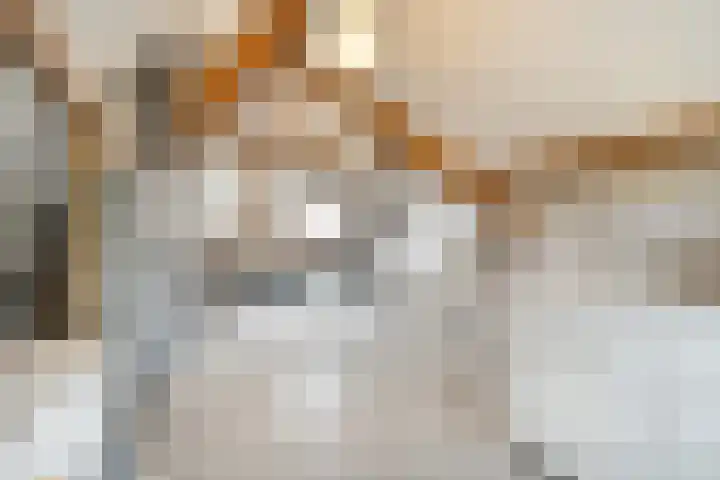 Bosuil 1 Dorst thumbnail 41