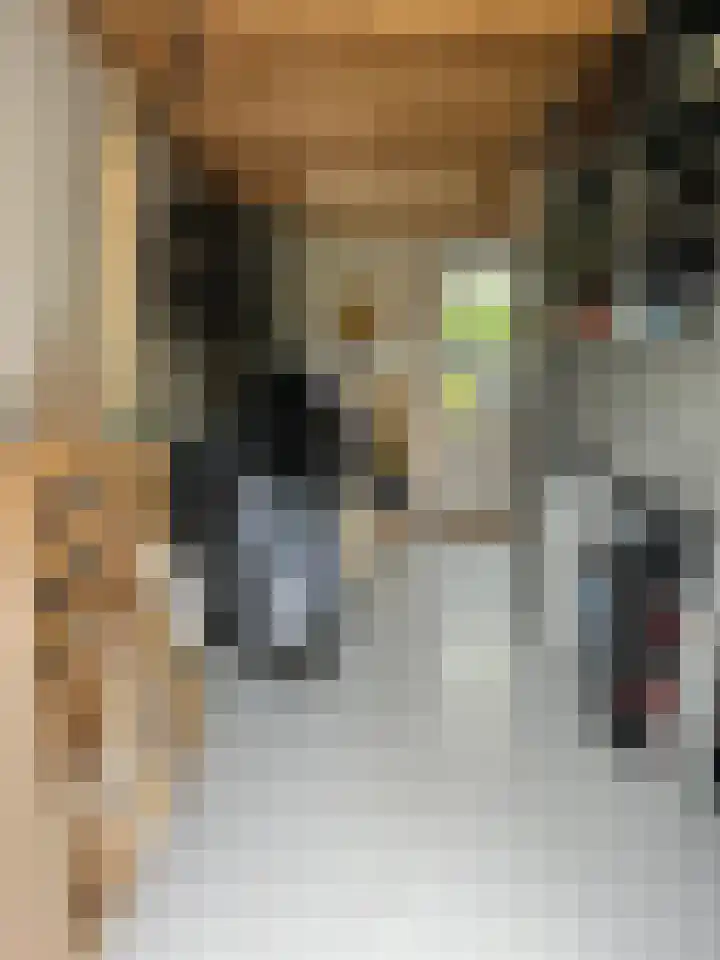 Bosuil 1 Dorst thumbnail 42
