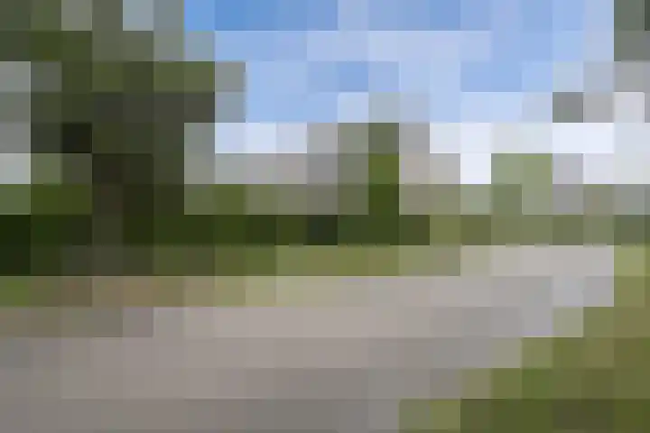Bosuil 1 Dorst thumbnail 43