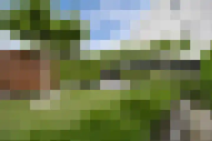 Bosuil 1 Dorst thumbnail 46