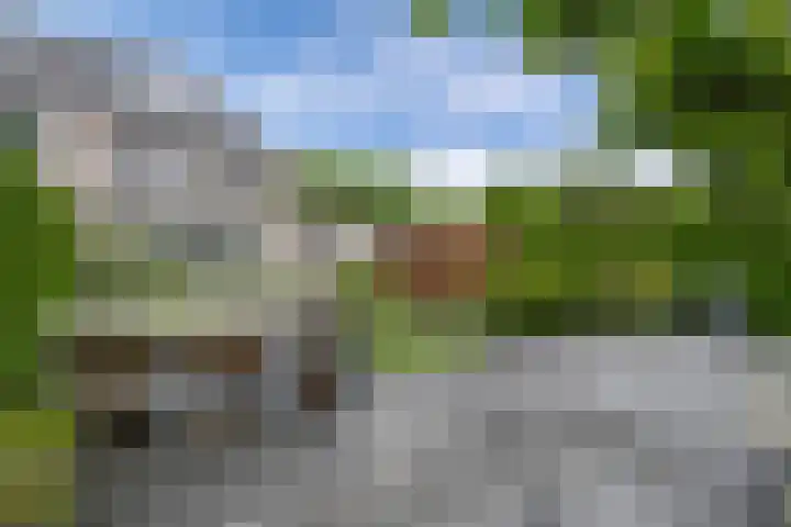 Bosuil 1 Dorst thumbnail 47