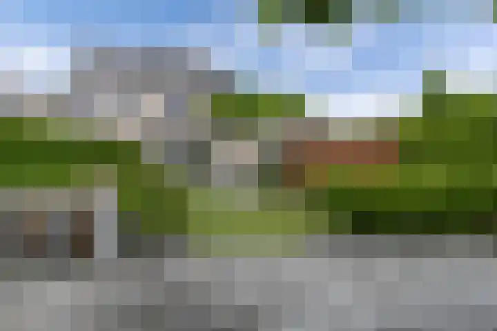 Bosuil 1 Dorst thumbnail 48