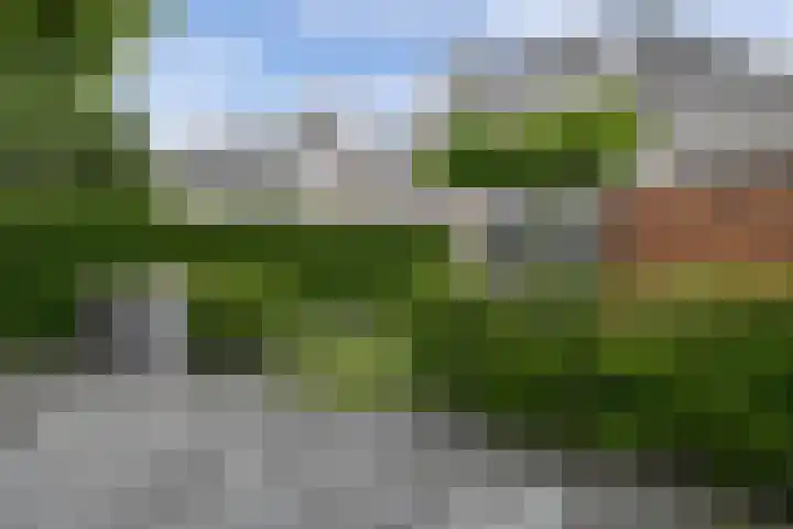 Bosuil 1 Dorst thumbnail 49
