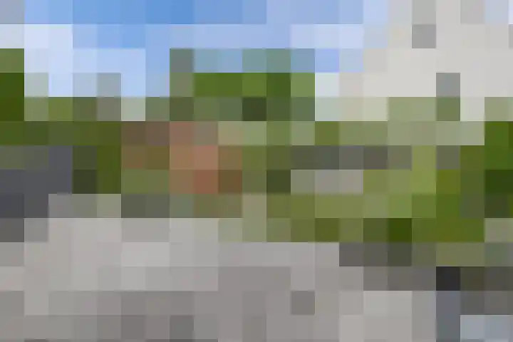 Bosuil 1 Dorst thumbnail 5