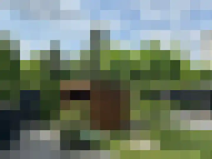 Bosuil 1 Dorst thumbnail 51