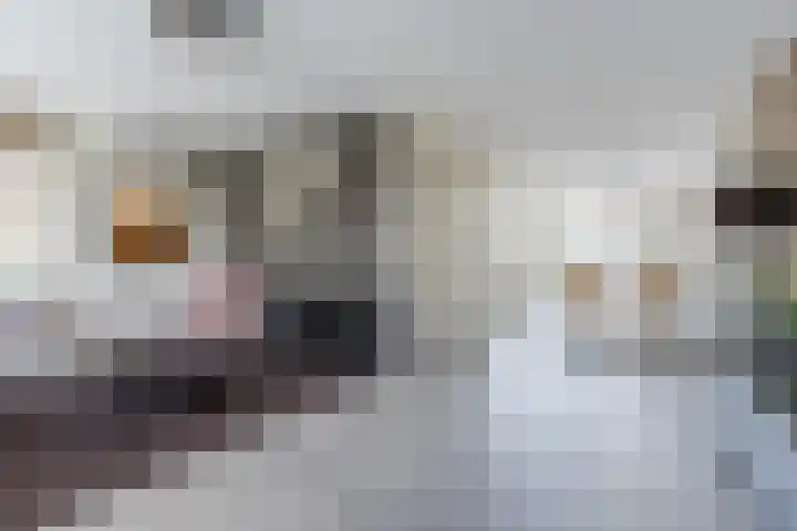 Bosuil 1 Mierlo thumbnail 11