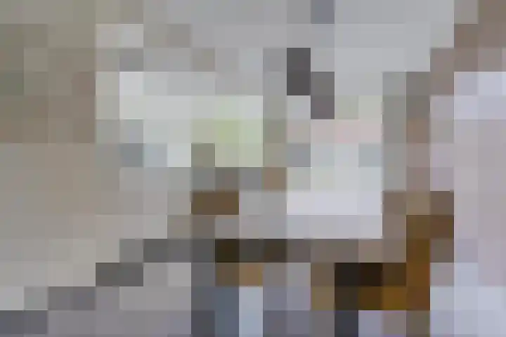 Bosuil 1 Mierlo thumbnail 13