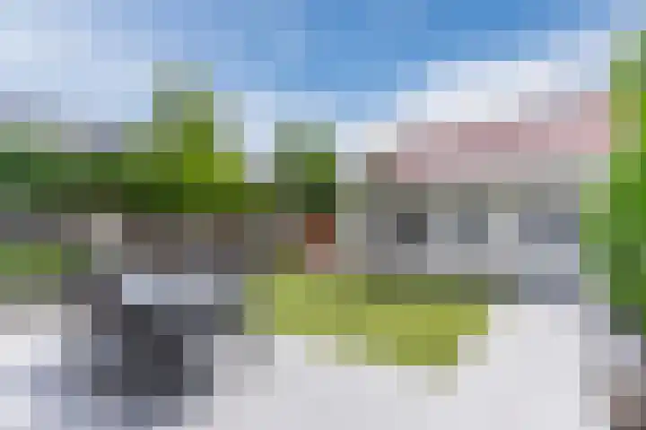 Bosuil 1 Mierlo thumbnail 16