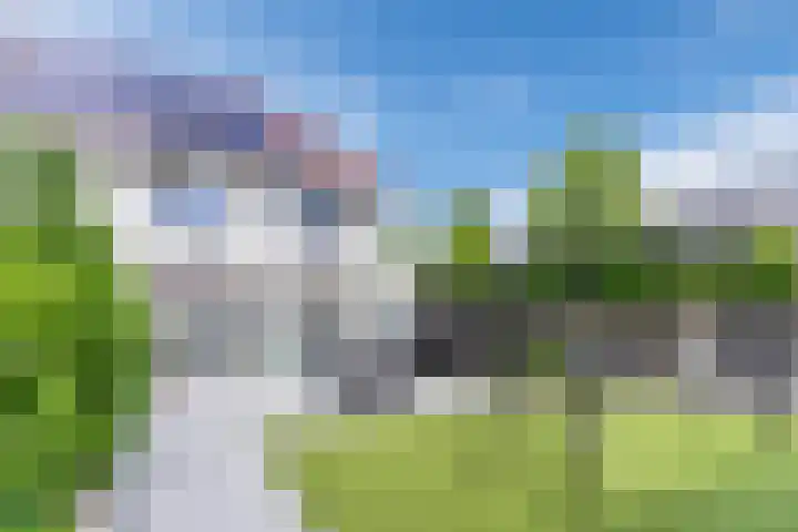 Bosuil 1 Mierlo thumbnail 17