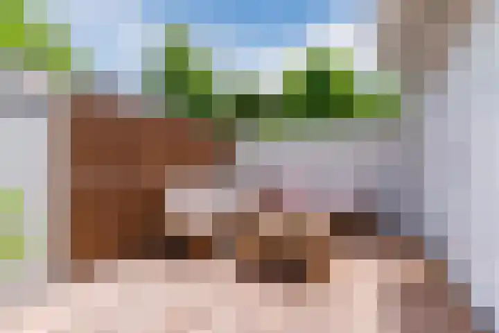 Bosuil 1 Mierlo thumbnail 18