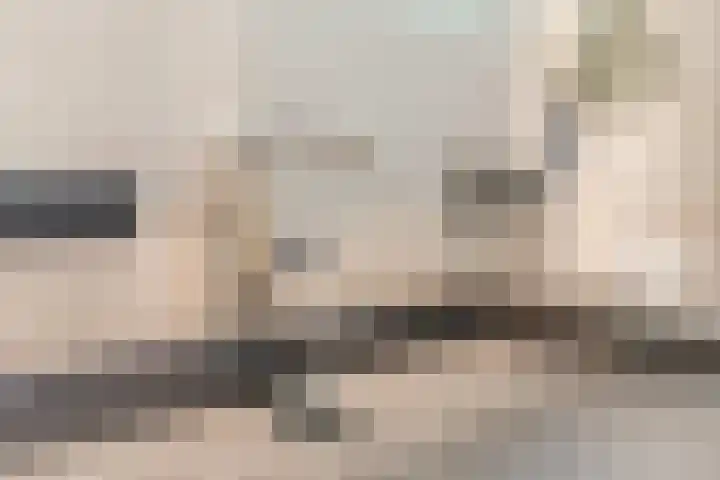 Bosuil 1 Mierlo thumbnail 28