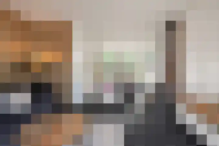 Bosuil 1 Mierlo thumbnail 32
