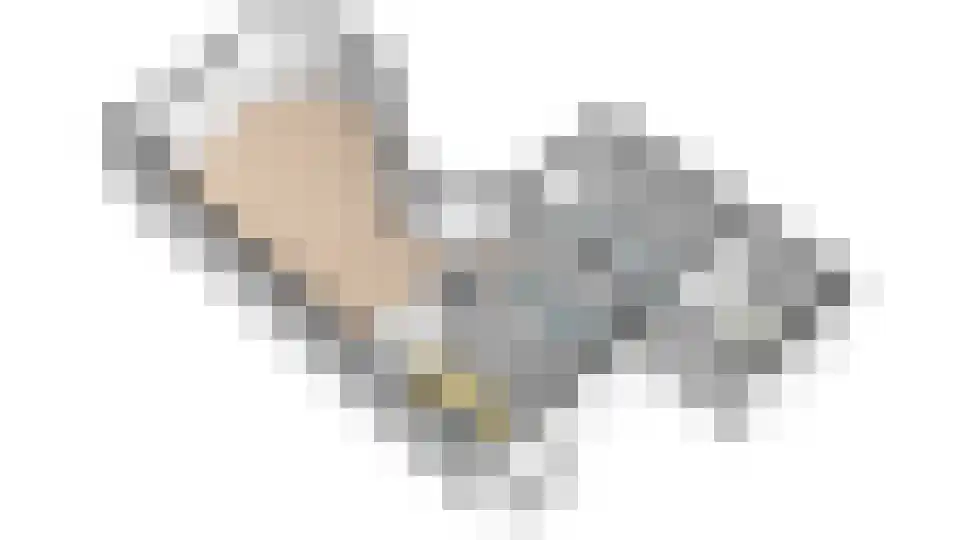 Bosuil 1 Mierlo thumbnail 42