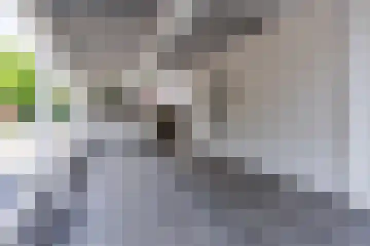 Bosuil 1 Mierlo thumbnail 6
