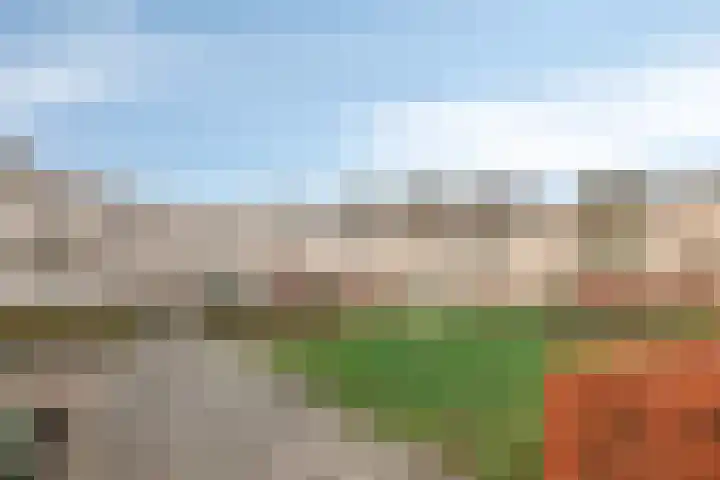 Bosuil 11 Mierlo thumbnail 6