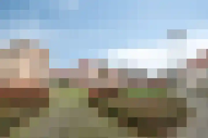 Bosuil 11 Mierlo thumbnail 8