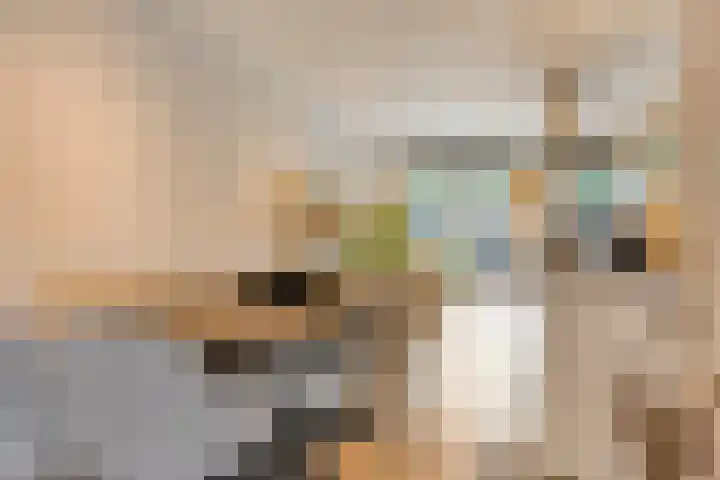 Bosuil 15 Venray thumbnail 10