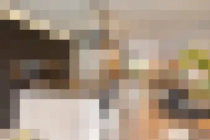 Bosuil 15 Venray thumbnail 11