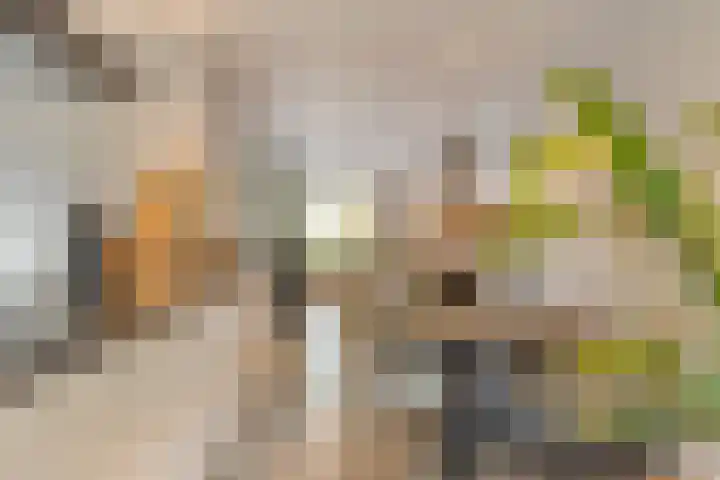 Bosuil 15 Venray thumbnail 12