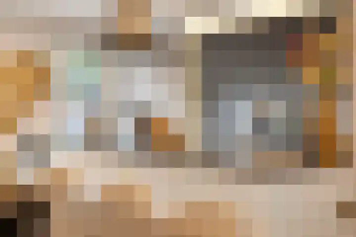 Bosuil 15 Venray thumbnail 17