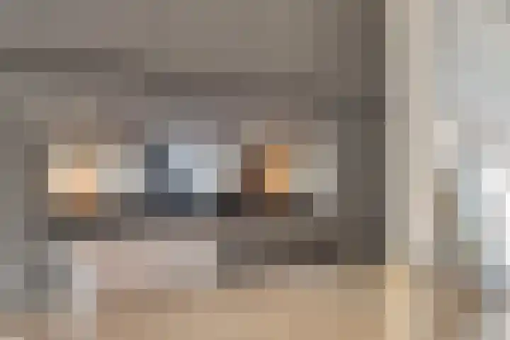 Bosuil 15 Venray thumbnail 18