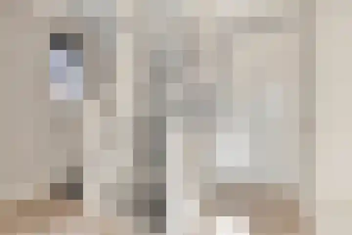 Bosuil 15 Venray thumbnail 20