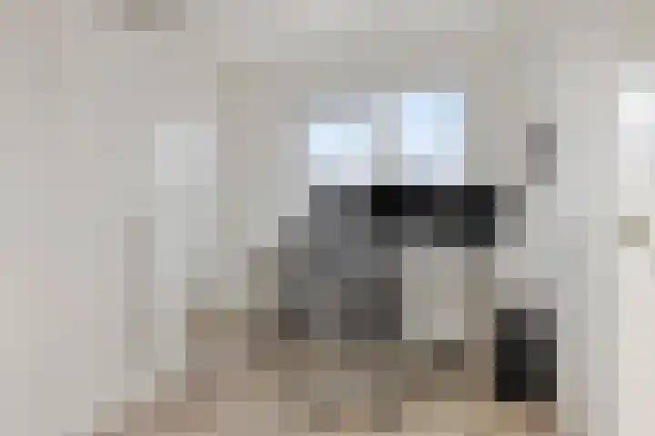 Bosuil 15 Venray thumbnail 26