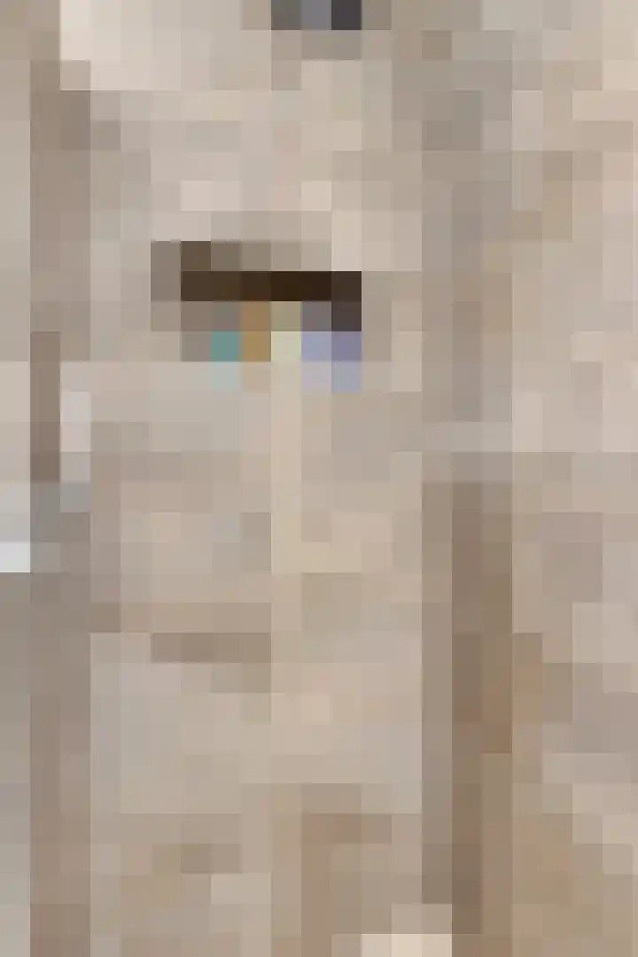 Bosuil 15 Venray thumbnail 30