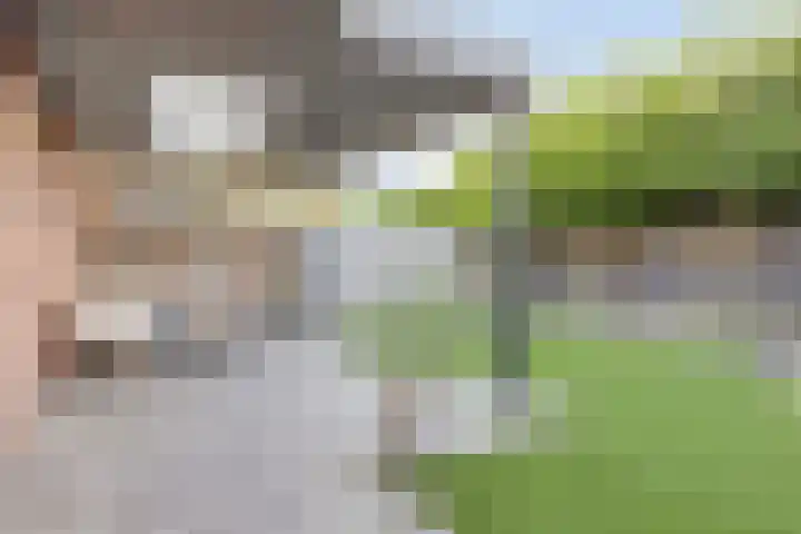 Bosuil 15 Venray thumbnail 32