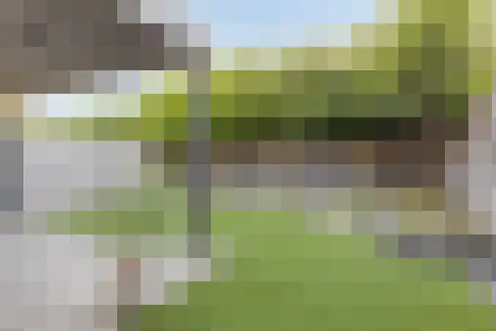 Bosuil 15 Venray thumbnail 33